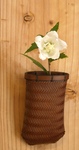 20120807RIMG0518.jpg