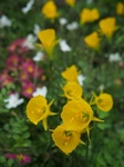 20150404P4030687.jpg