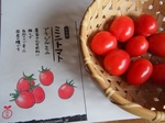 P8210105s.jpg